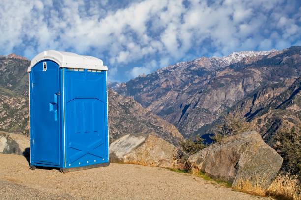 Best Portable Toilets with Baby Changing Stations  in Greenville, MI